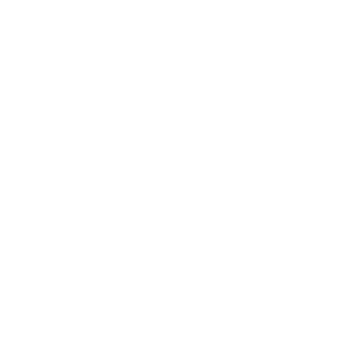 NO LOVE FOR THE MIDDLE CHILD